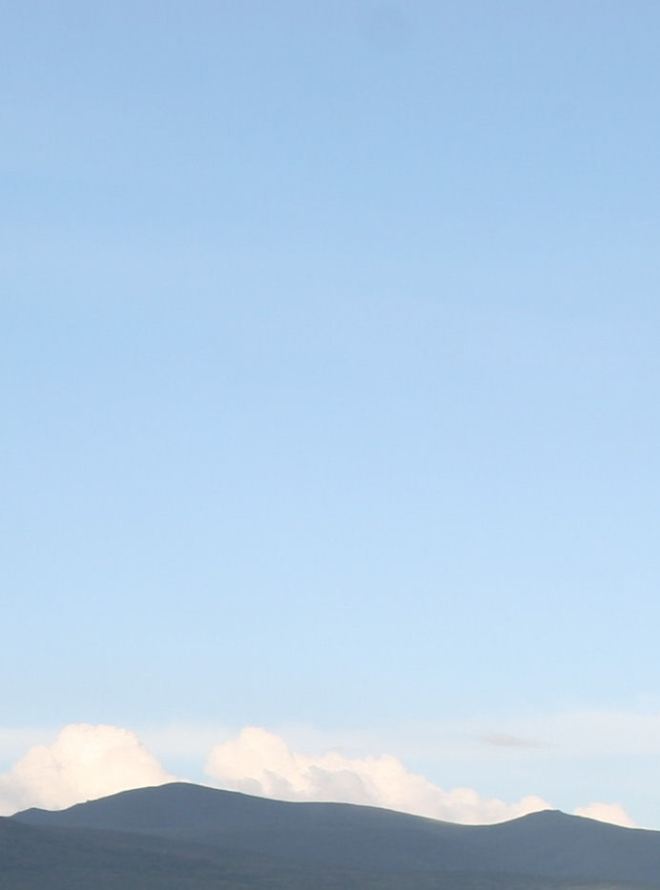 Hyena Project Ngorongoro Crater