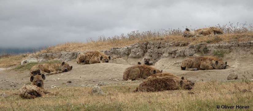 Triangle - Border Crossers