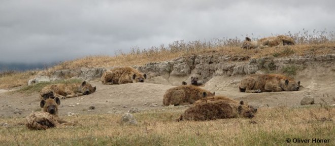 Triangle - Border Crossers