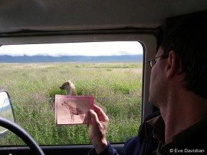 Identification via ID card