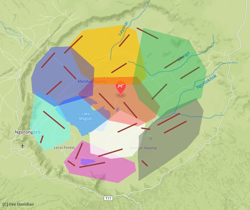 Layout of the 23 transects used for our prey counts. Colored areas are hyena territories.